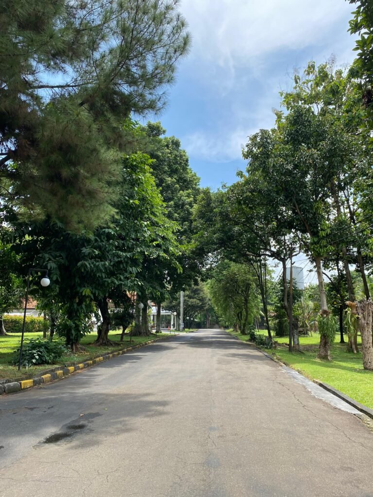 kinasih depok web-29